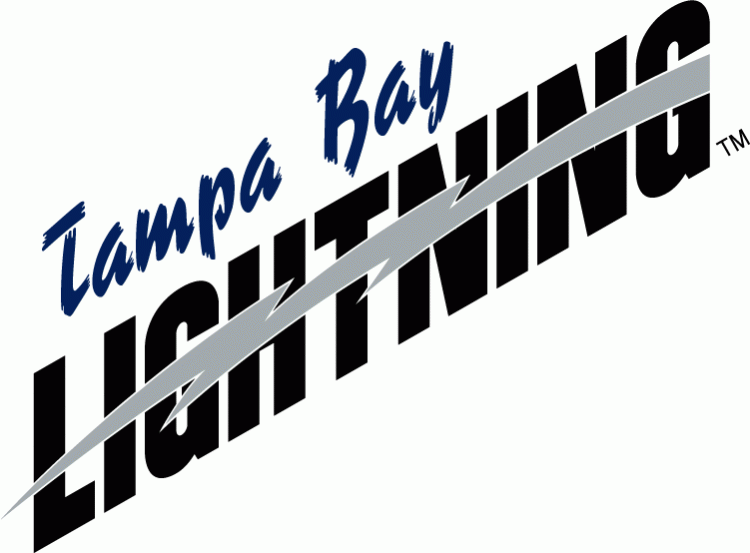 Tampa Bay Lightning 2001 02-2006 07 Wordmark Logo iron on paper